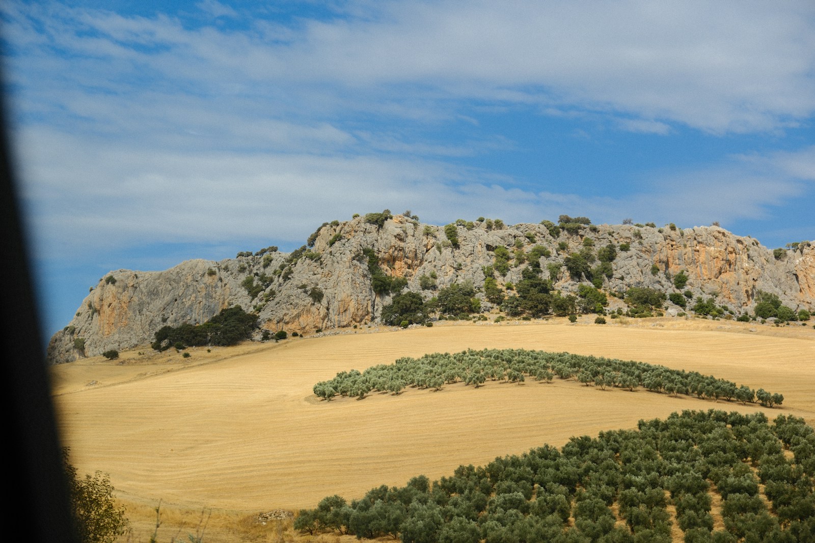 Kalksteinhügel und Olivenhaine in der Landschaft um Ronda