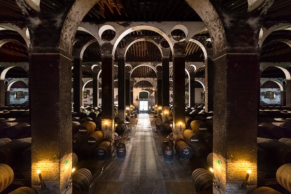 Keller La Arboledilla bei Barbadillo in Sanlúcar